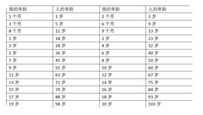 狗年龄与人类年龄对照表 狗年龄与人类年龄对照表